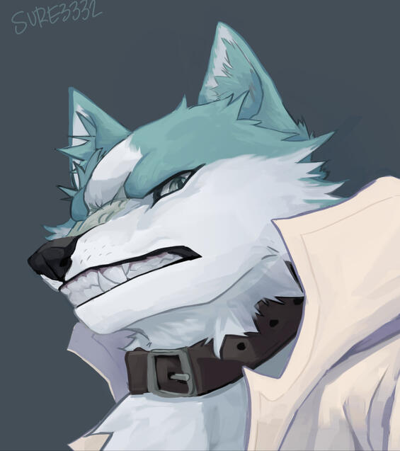 Headshot $35 (Older drawing)